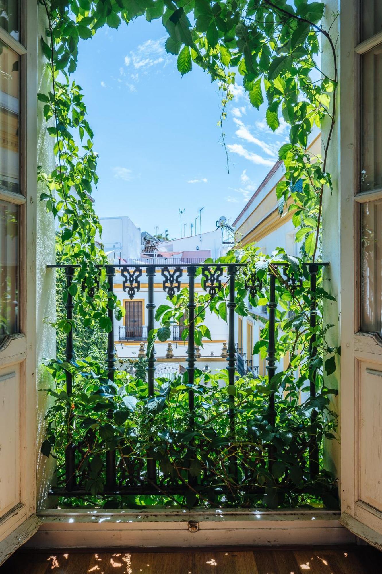 Novalia Home Suite Севілья Екстер'єр фото